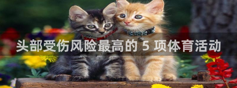 江苏星奥娱乐有限公司报名