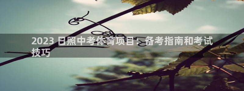 江苏星奥娱乐有限公司