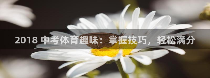 星欧娱乐最建议买的三个游戏