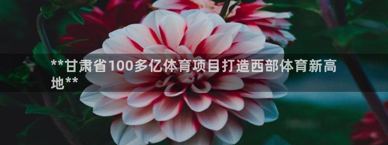 星欧娱乐官网首页
