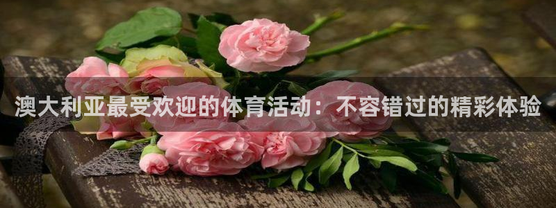 星欧娱乐官方客服联系方式电话