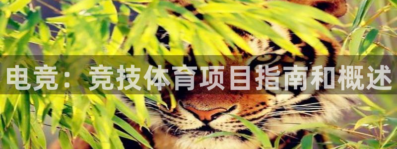 星欧娱乐官网首页