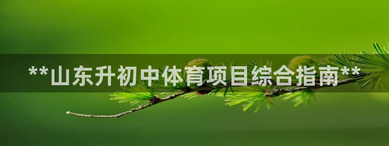 星奥娱乐集团股份有限公司招聘