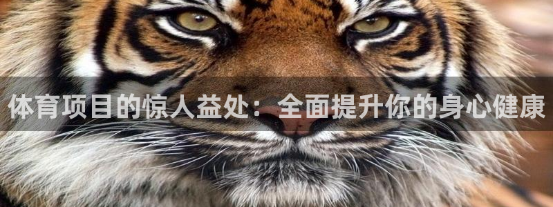 星欧娱乐公司简介