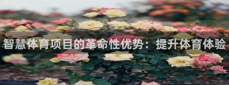 星欧娱乐雀V是什么平台