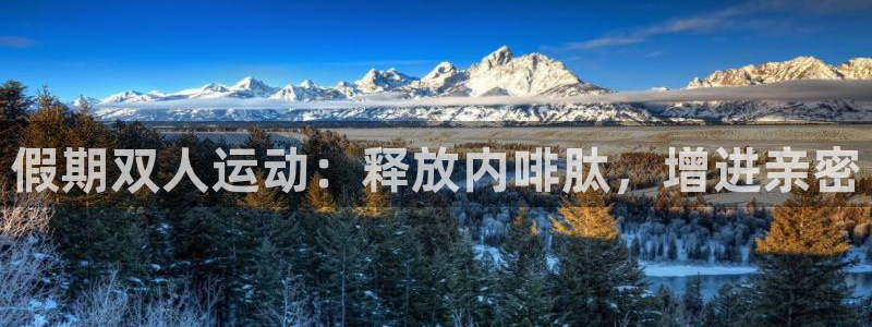 星游娱乐下载地址