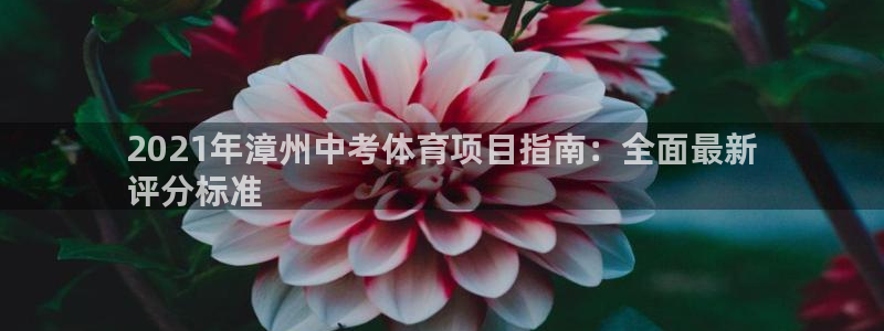 星欧娱乐的官方版本更新内容