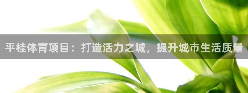 星欧娱乐公司创始人背景故事