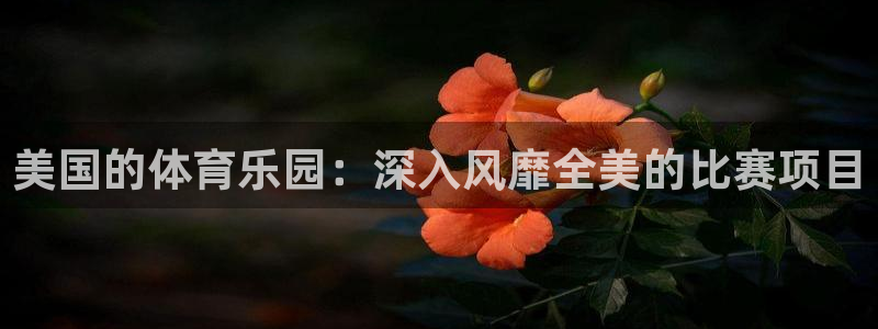 星欧娱乐app最新版本更新内容是什么