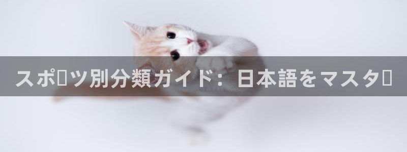 星欧娱乐平台怎么样