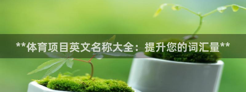 星欧娱乐工711.112怎么没有了