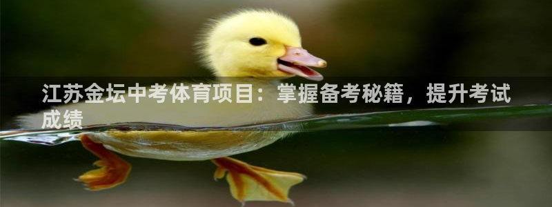 星奥娱乐集团