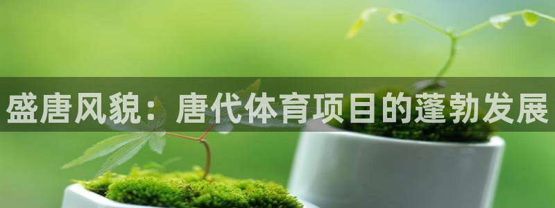 星欧娱乐的官方版本更新内容是什么