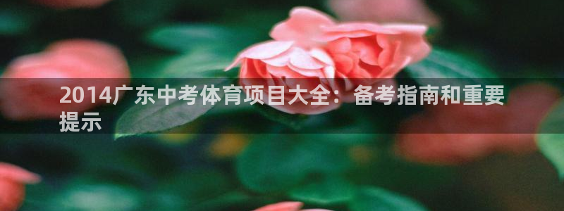 星欧娱乐扣款时间查询方法是什么呢