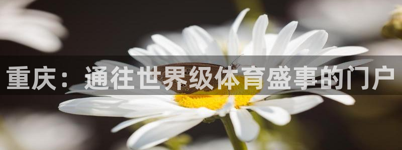 星欧娱乐联游戏评测