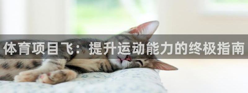 星娱乐online创作的原声胡歌吴磊