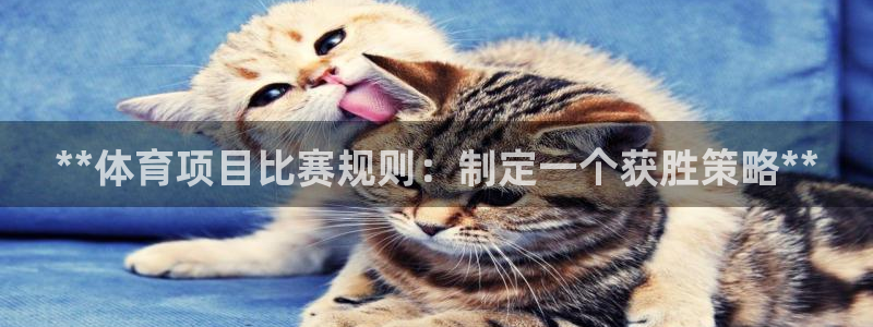 星欧娱乐游戏官网