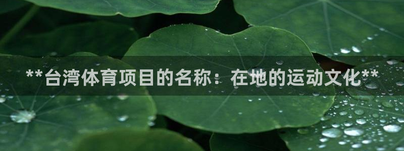 星欧娱乐app最新版本更新内容是什么