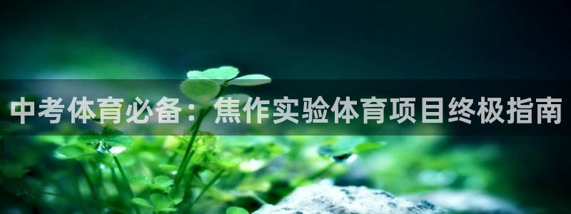 星欧娱乐工711.112怎么没有了