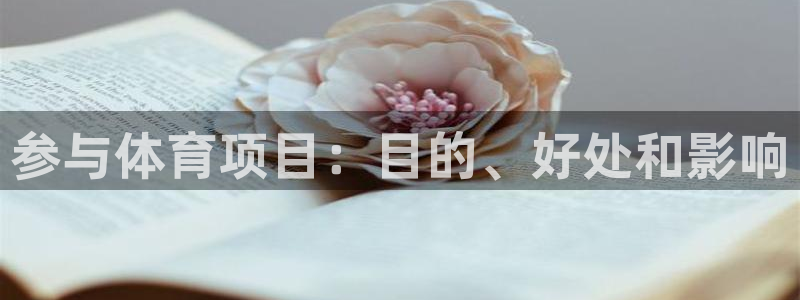 星奥娱乐旗下艺人