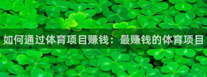星欧娱乐联游戏评测