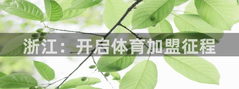 星奥娱乐待遇怎么样