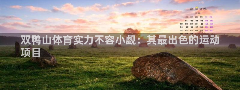 星欧娱乐彩票软件下载官网
