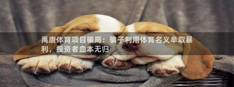 星欧娱乐扣款流程详解视频