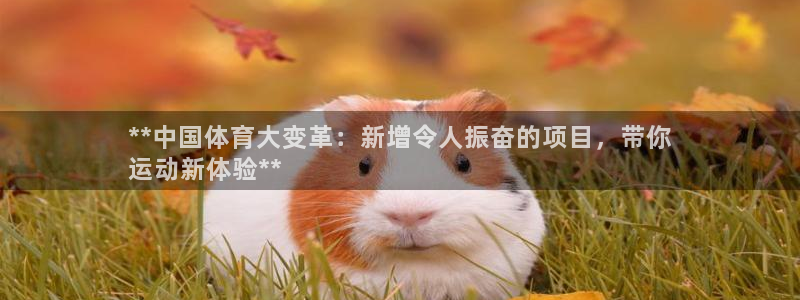 星欧娱乐退款电话人工服务