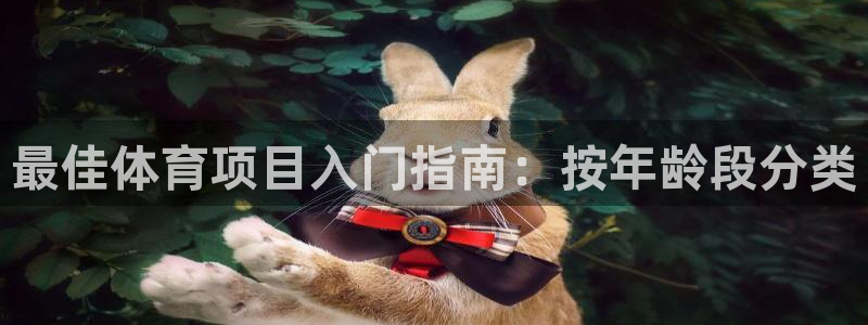 星奥娱乐集团怎么样