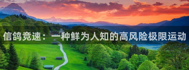 星娱乐是谁的公司