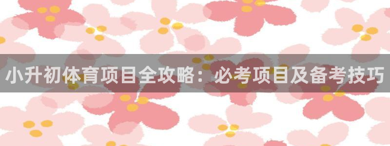 江苏星奥娱乐有限公司