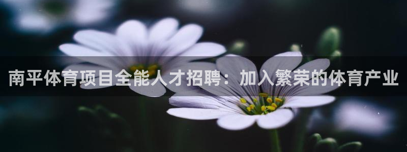 星欧娱乐扣款时间查询方法怎么查不到