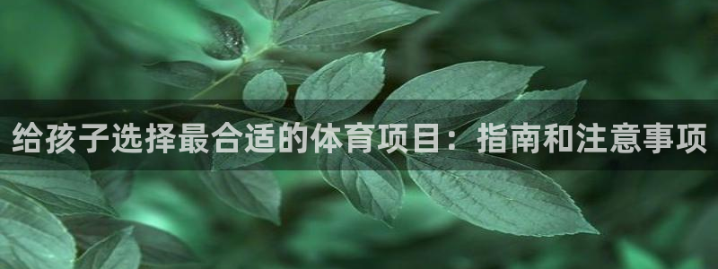星娱乐是谁的公司