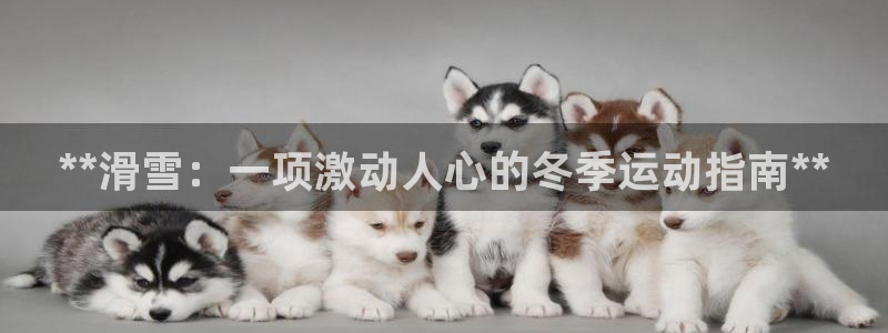 星欧娱乐官网