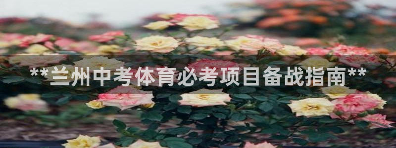 星欧娱乐的官方版本更新内容有哪些