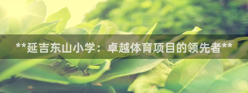 星欧娱乐扣款流程详解
