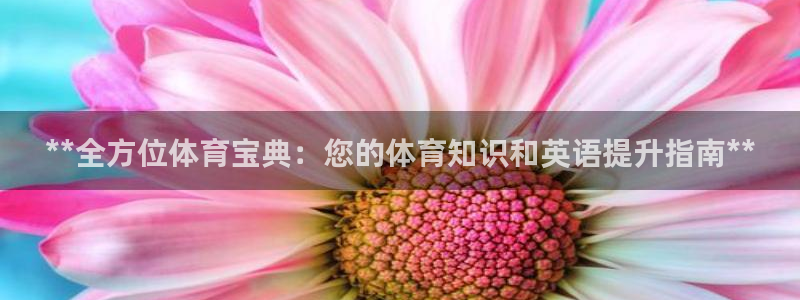 星欧娱乐最建议买的三个游戏是什么
