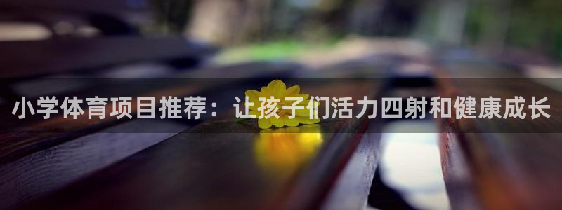 星欧娱乐扣款流程详解图高清