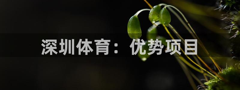 星奥娱乐怎么样