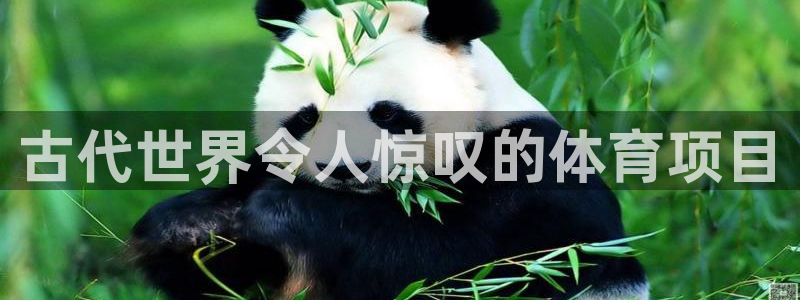 星欧娱乐挂机教程下载