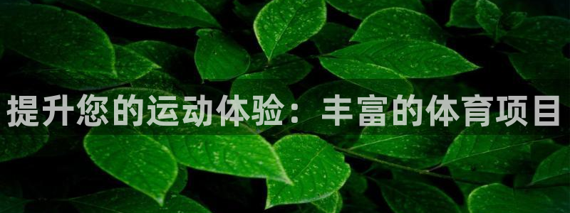星欧娱乐app最新版本更新内容下载