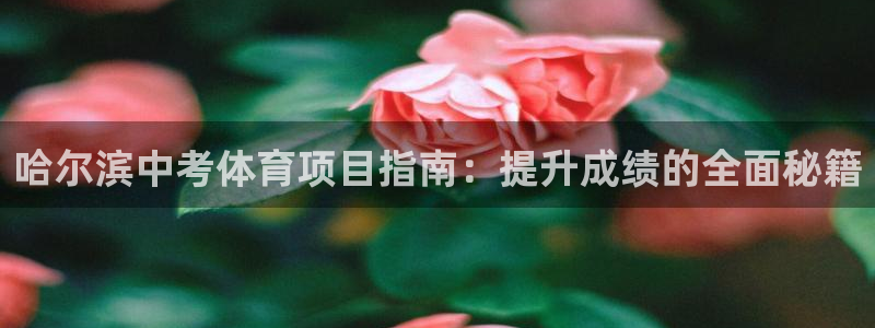 星欧娱乐是正规平台吗知乎
