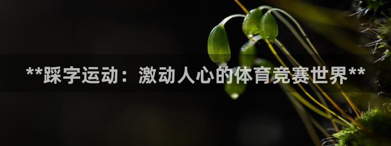 星欧娱乐测速怎么样