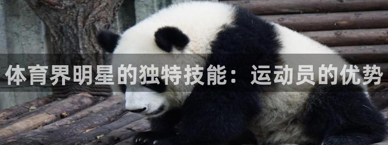 星欧娱乐平台测速线路
