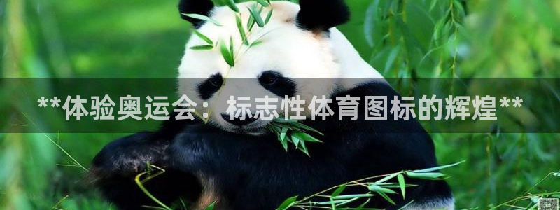 星娱乐文化传媒有限公司