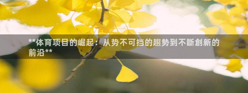 星澳娱乐公司简介