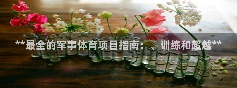 澳星国际娱乐集团