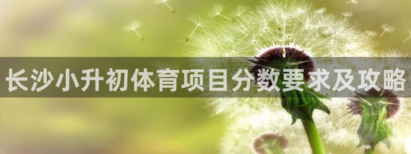 星欧娱乐工711.112怎么没有了