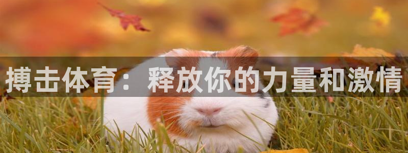 星欧娱乐扣款时间查询方法